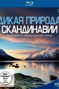 Дикая природа Скандинавии (2011) смотреть онлайн